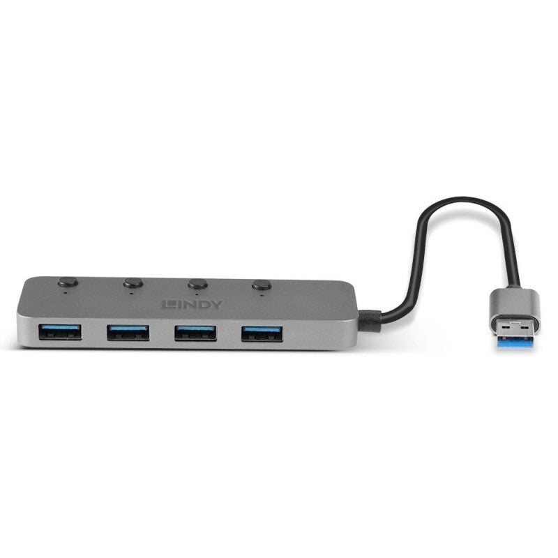 Lindy 4 port USB Hub Gr