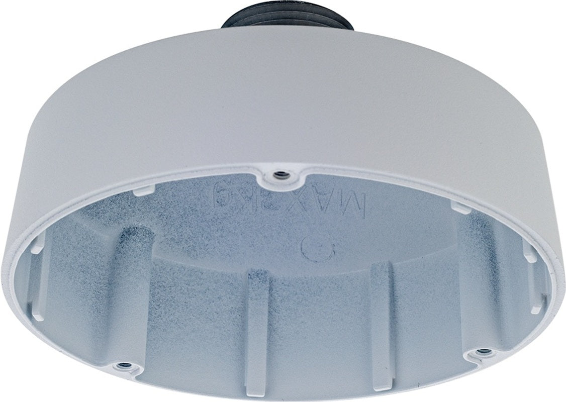 D-Link Pendant Cap Type D2 for Vigilance Cameras DCS-F461PC