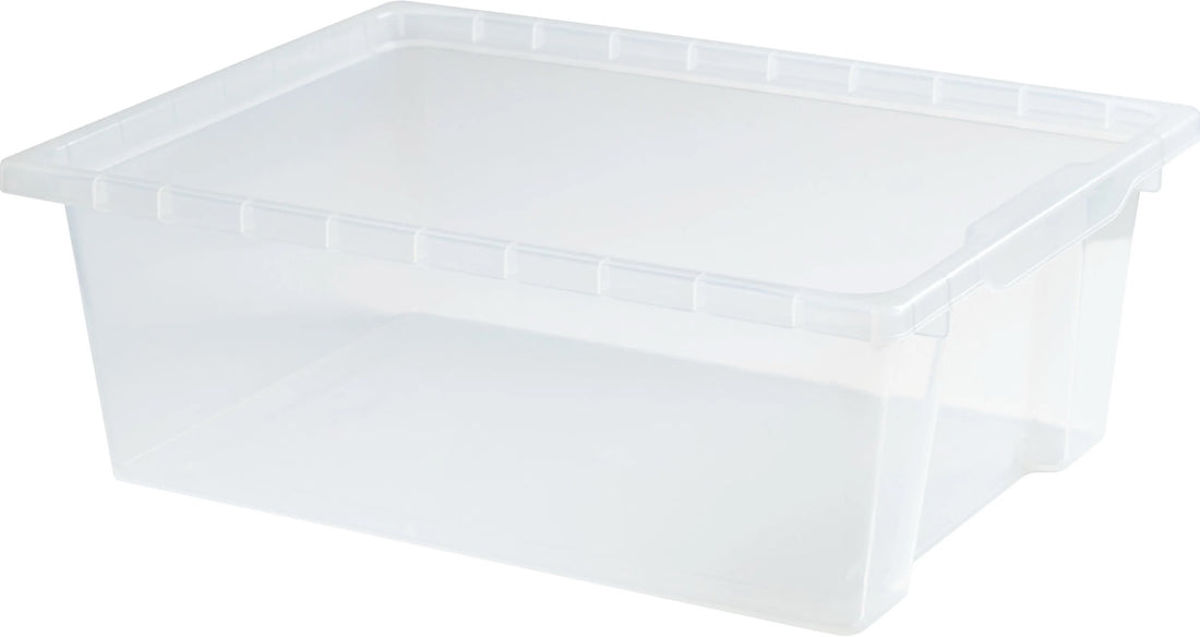 Medium Tote Tray Clear